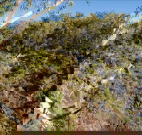 Boonoo Boonoo Falls picnic area - Stayed