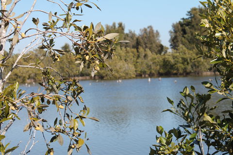 Boyters Lane Bird Hide - Stayed 2