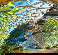 Brisbane Botanic Gardens Mount Coot-tha - Stayed