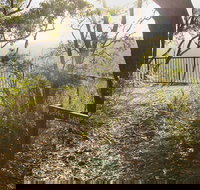 Bundanoon Creek walking track - Stayed