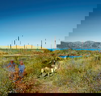 Bushwalking on Keswick Island - Stayed