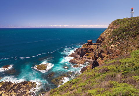 Bushrangers Bay Walking Track - Stays Accommodation 0