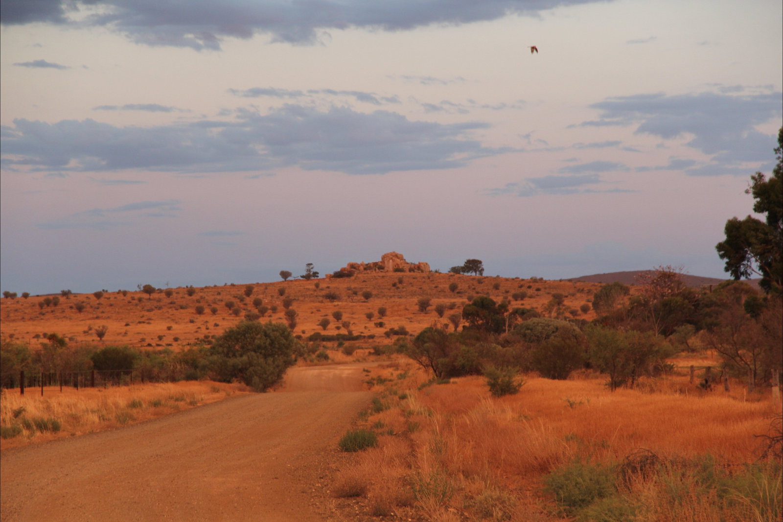 Flinders Ranges And Outback SA Stayed
