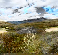 Cascade Hut trail - Stayed