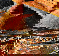 Cattai Homestead and Historic Farm Buildings - Stayed