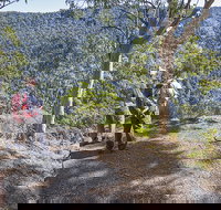 Caves circuit Lamington National Park - Stayed