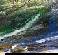 Charles Darwin walk - Stayed