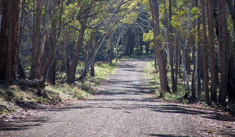 Coolah Tops National Park - Stayed 0