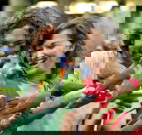 Currumbin Wildlife Sanctuary - Stayed