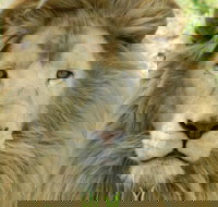 Darling Downs Zoo - Stayed