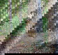 Delta Track - Stayed