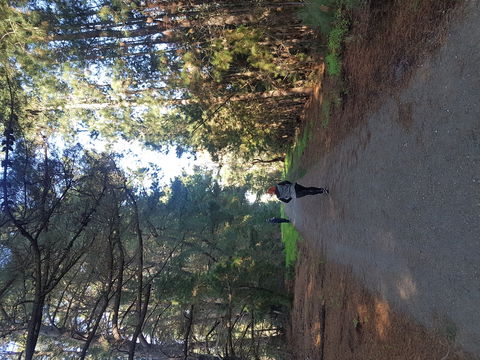 Devilbend Natural Features Reserve - Stayed 1