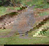 Donnelly River - Stayed