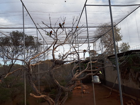 Eyre Reptile & Wildlife Park - Stayed 2