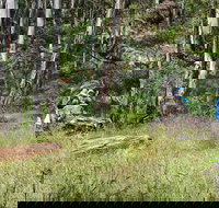 Federal Falls Walk - Stayed