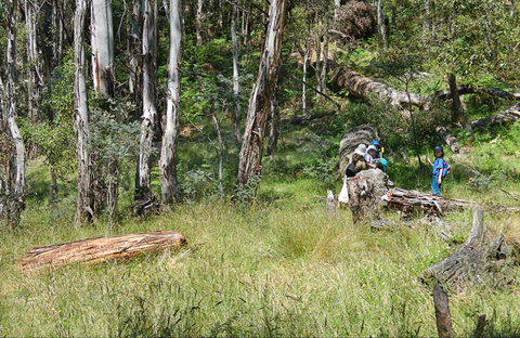 Federal Falls Walk - Stayed 0