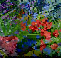 Ferry Artists Gallery - Stayed