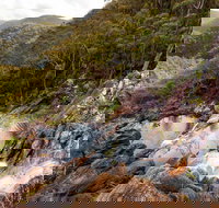 Gibraltar Range National Park - Stayed