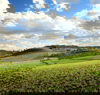 Hodgson Vale - Stayed