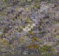 Horsnell Gully and Giles Conservation Parks - Stayed