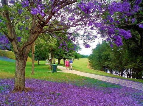 Howe Park - Stayed 0