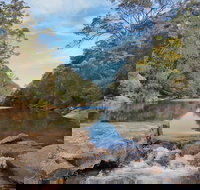 Ingleburn Reserve - Stayed