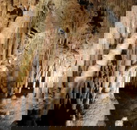 Jillabenan Cave - Stayed