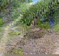 Kangaroo River Walking Track - Stayed