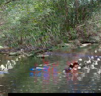 Kerewong State Forest - Stayed