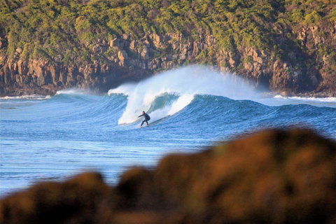 Killalea Reserve - Stayed 1