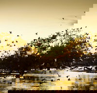 Kinchega Homestead Billabong Walk - Stayed