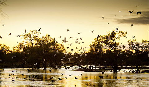 Kinchega Homestead Billabong Walk - Stayed 0