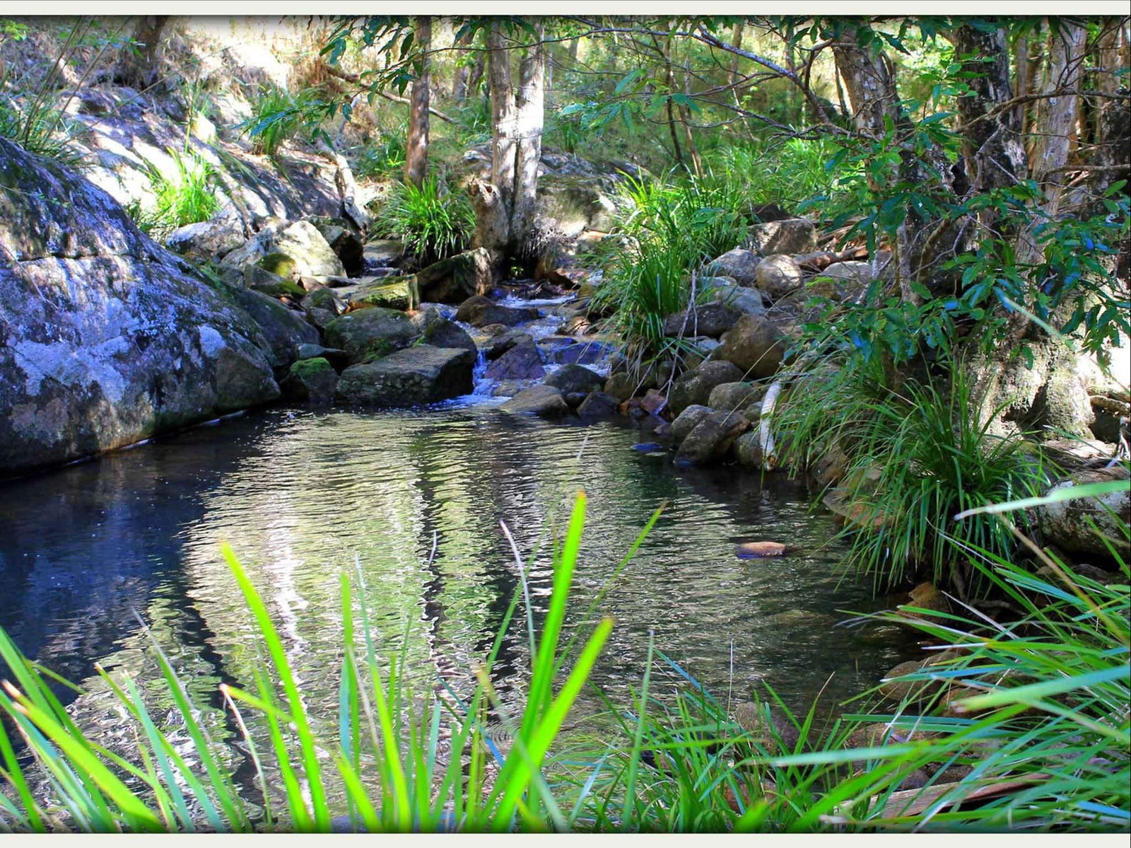 Kin Kin QLD Stayed