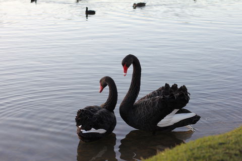 Lake Weeroona - Stayed 1