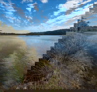 Lake Innes Nature Reserve - Stayed