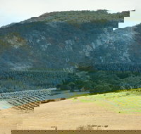 Langi Ghiran State Park - Stayed