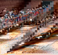 Lark Quarry Conservation Park - Stayed