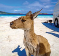 Lucky Bay - Stayed