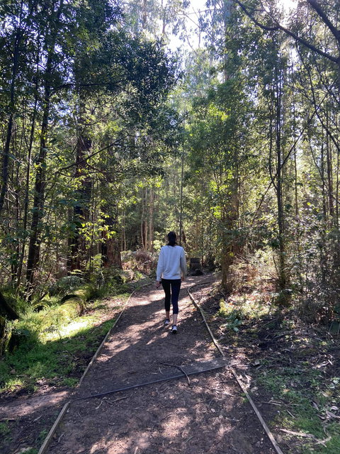 Lyrebird Circuit Walk - Stayed 0