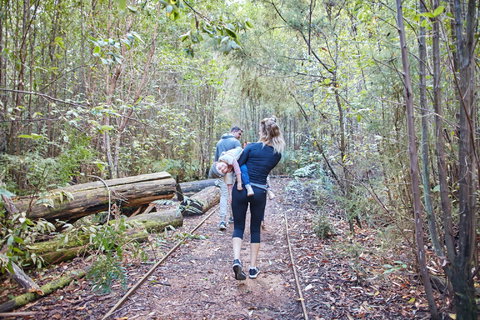 Lyrebird Circuit Walk - Stayed 1
