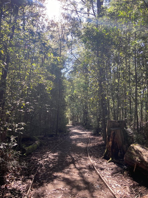 Lyrebird Circuit Walk - Stayed 2