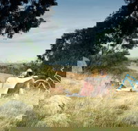 Lysterfield Park - Stayed