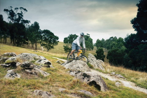 Lysterfield Park - Stayed 1