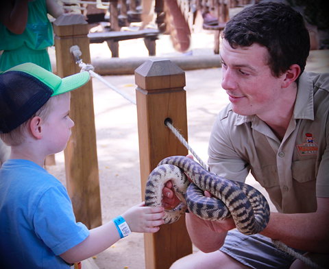 Macadamia Castle - Stayed 1