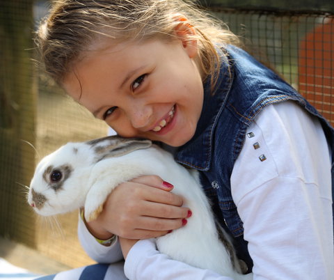 Macadamia Castle - Stayed 2