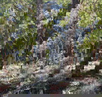 Mount Gray walking track - Stays Accommodation