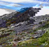 Mount Stillwell walk - Stayed