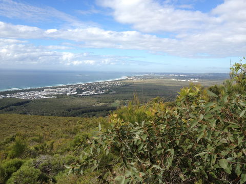 Mount Coolum National Park - Stayed 0