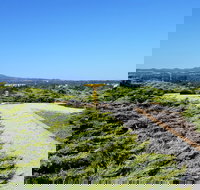 Mt Lindsay Rotary Park - Stayed