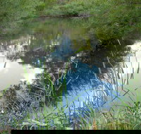 Mullion Range State Conservation Area - Stayed